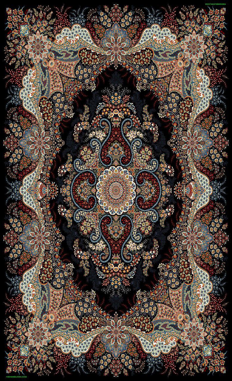 Owl Image