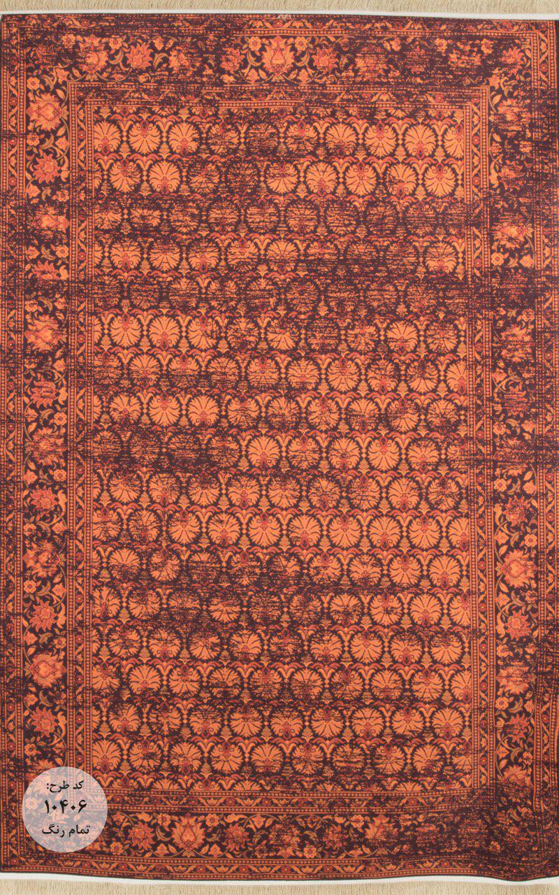 Owl Image