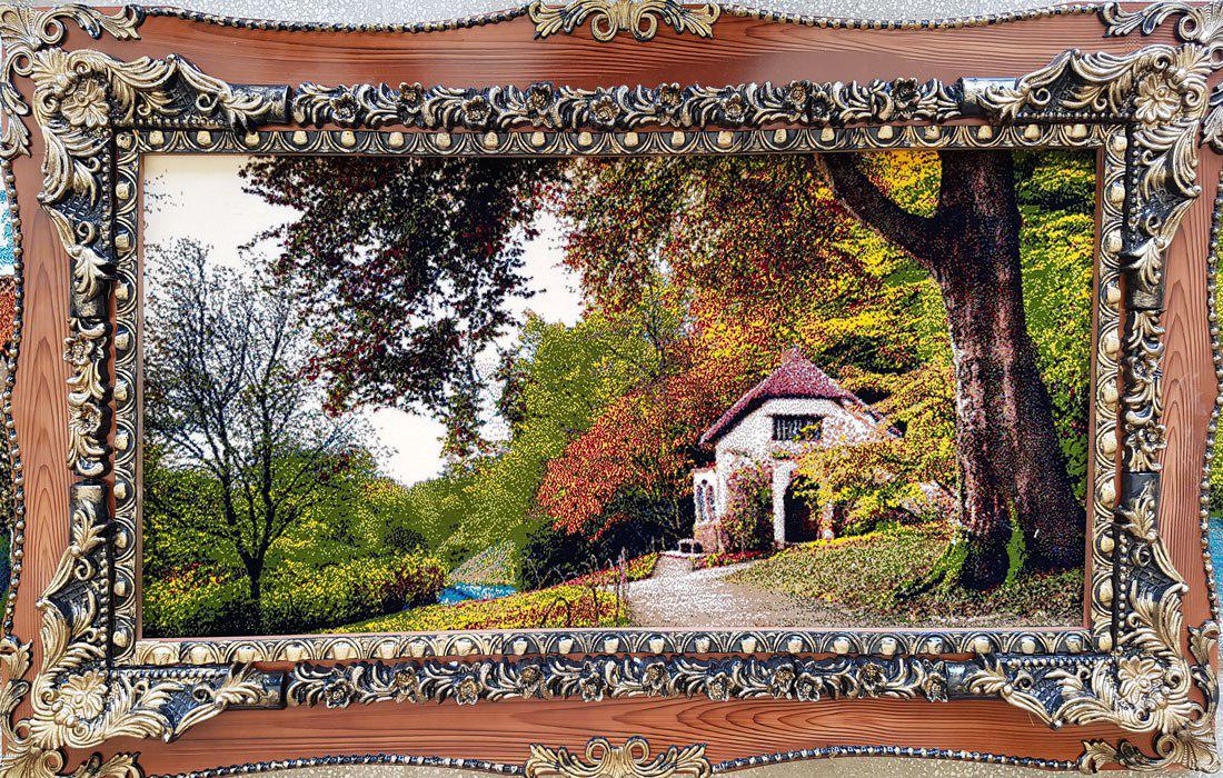 Owl Image