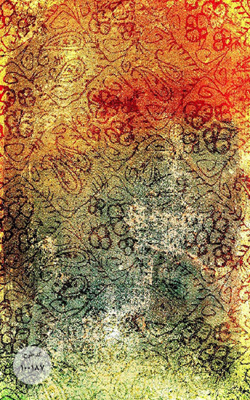 Owl Image