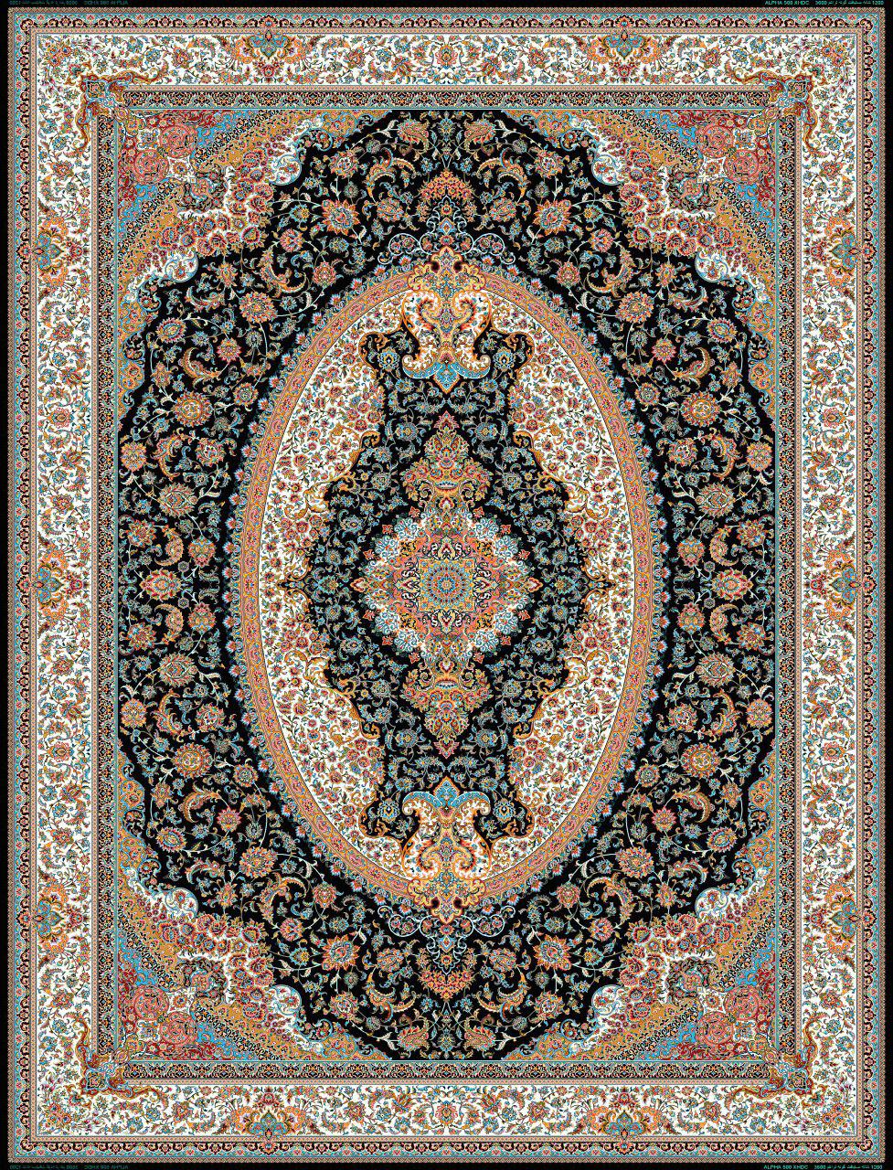 Owl Image