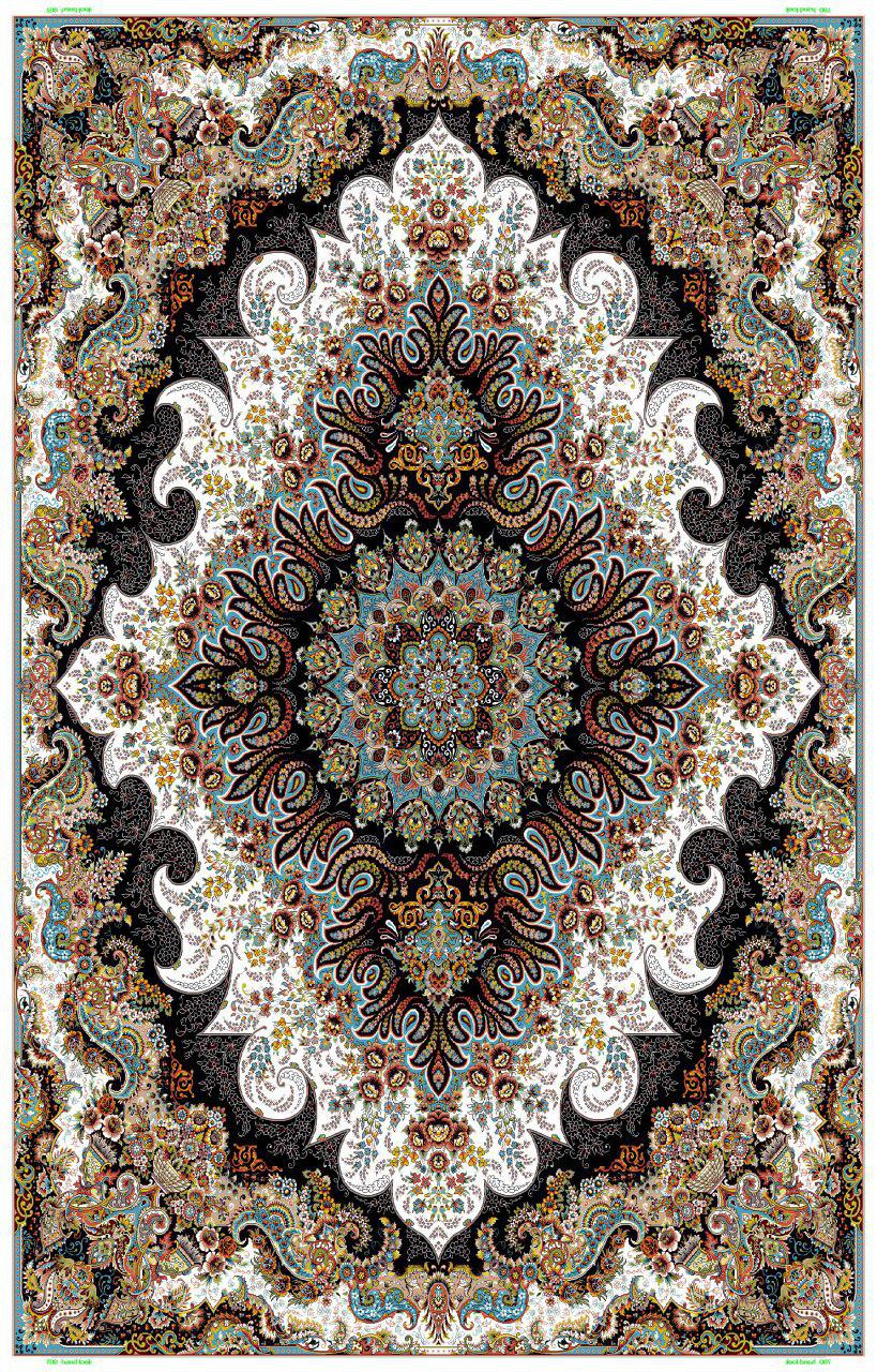 Owl Image