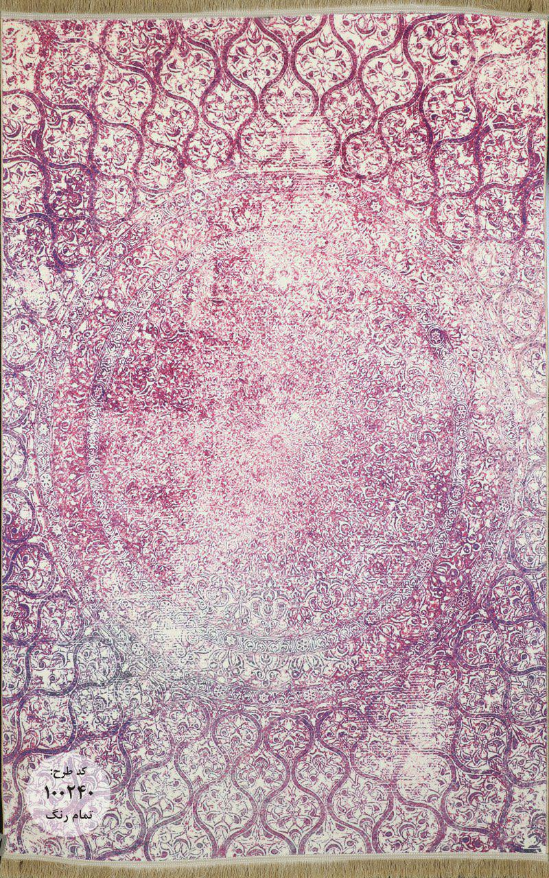 Owl Image