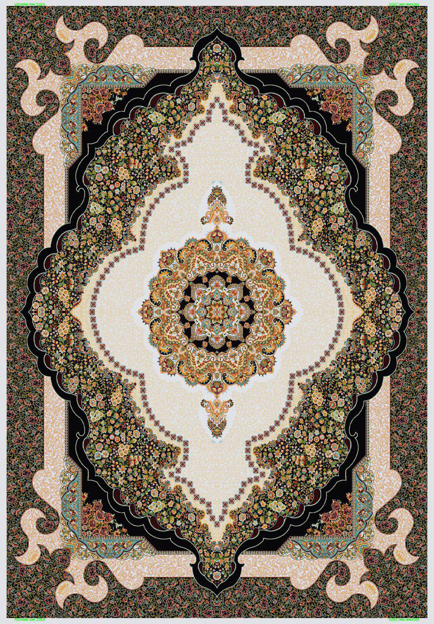 Owl Image