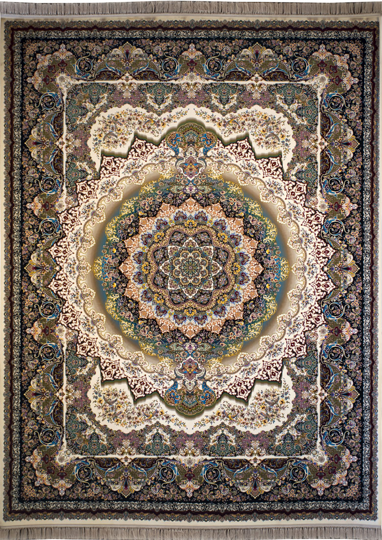 Owl Image