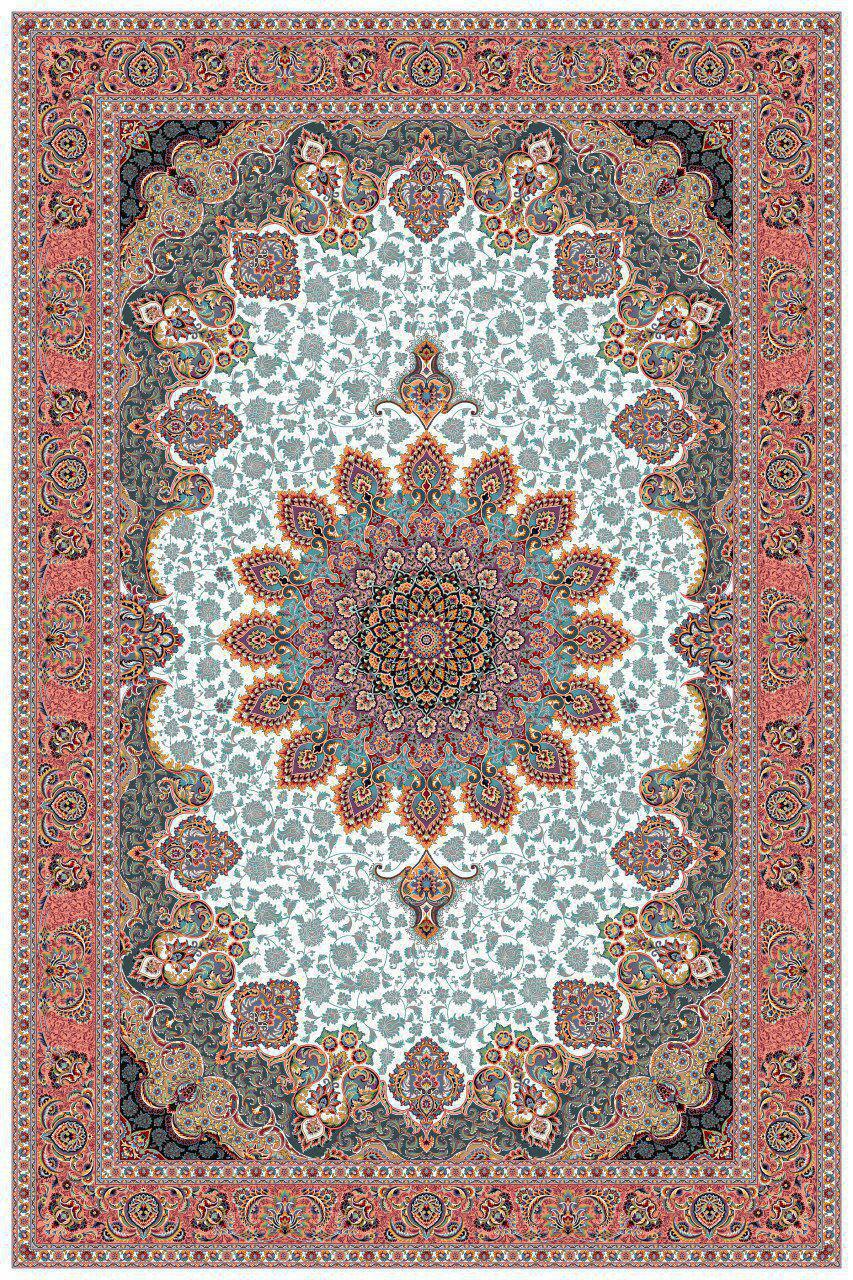 Owl Image