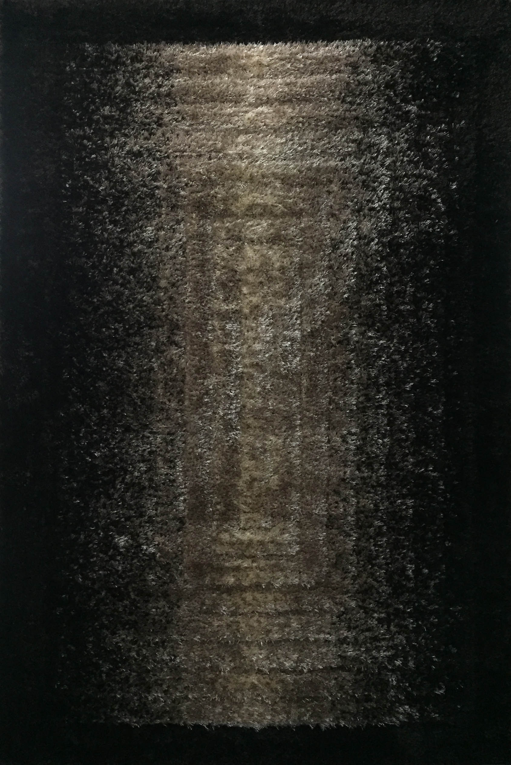 Owl Image