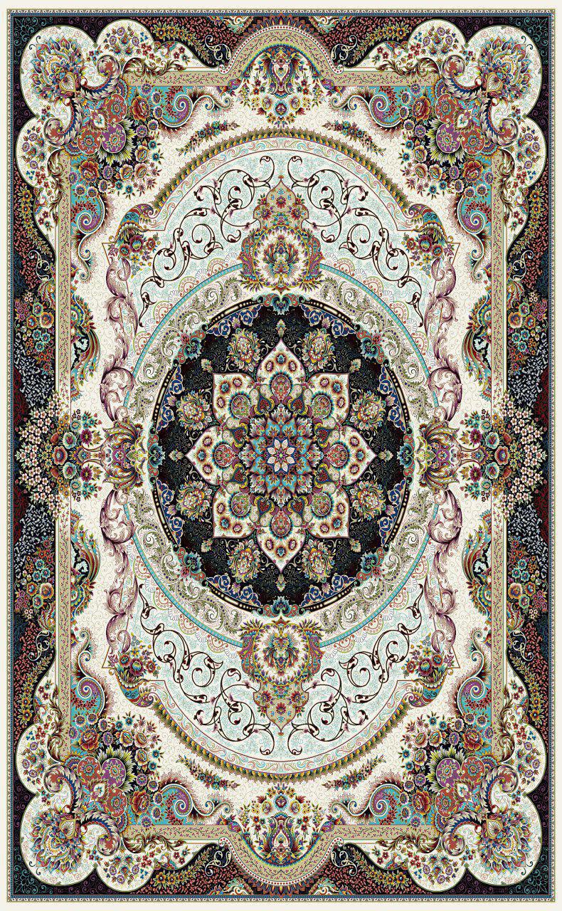 Owl Image