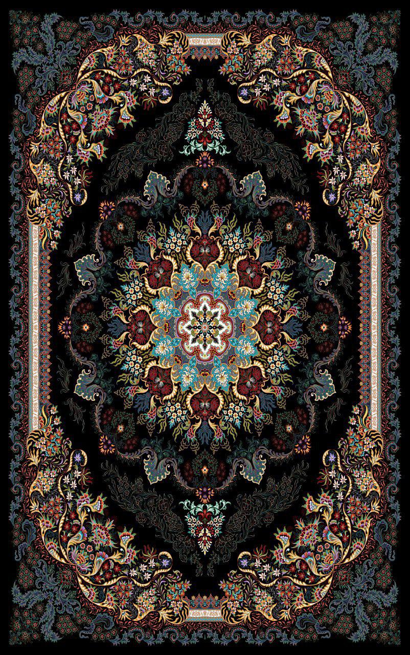 Owl Image