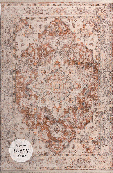Owl Image