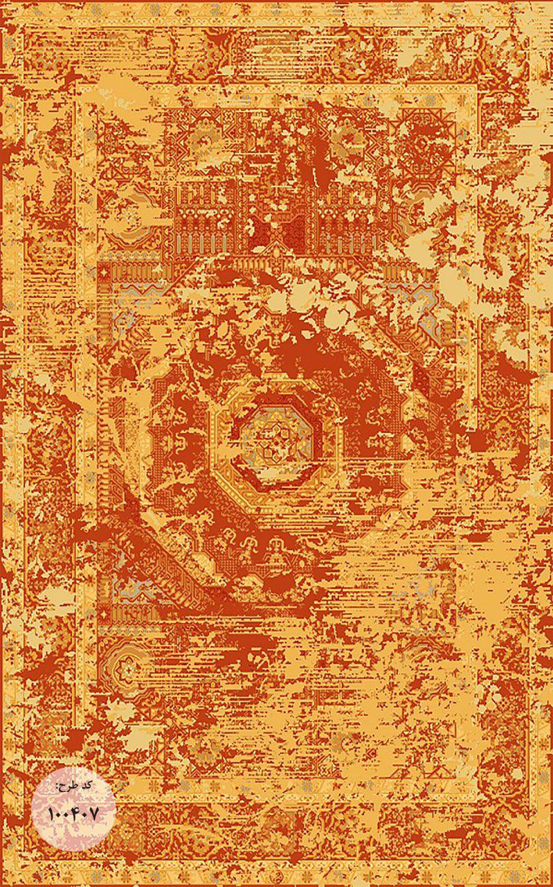 Owl Image