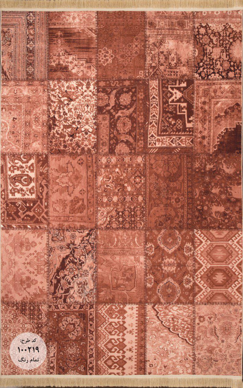 Owl Image